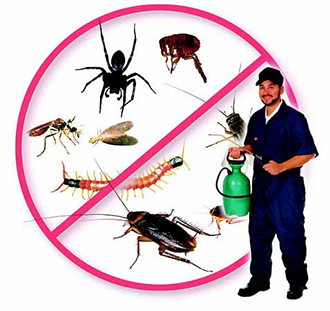 Tư vấn phương án diệt côn trùng hiệu quả